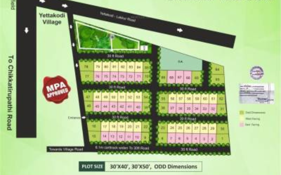 Alora Beneath The Woods